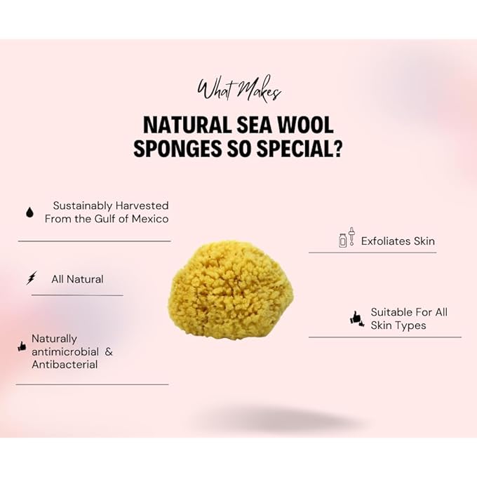 Bath & Shower Express Sea Wool Sponge 5-6 (Large) by Ãƒâ€š Natural Renewable Resource! - Image 4